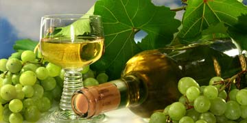 Istrian white wine